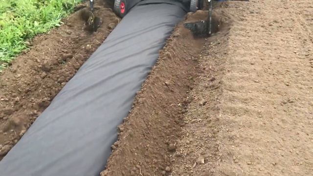 31 июля 2020 г. смотреть онлайн