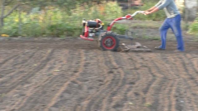Вирощування сидератів від А до Я смотреть онлайн