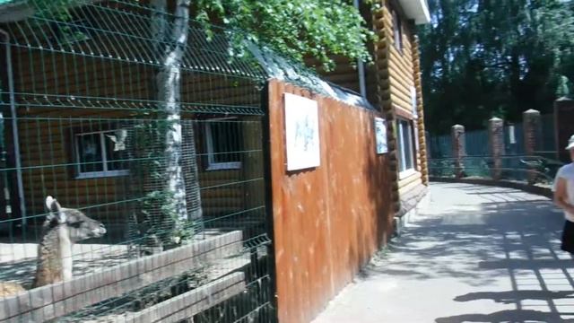В ЗООПАРК-ДЕНЬ РОЖДЕНИЯ У ДАРЬИ смотреть онлайн