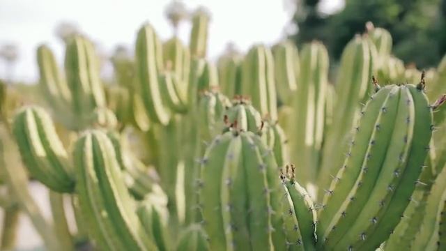 Комфортная и стильная испанская обувь Refresh смотреть онлайн