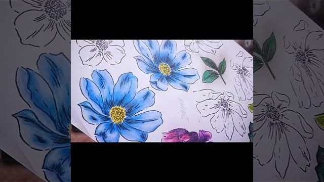 Обзор новых карандашей polychromos смотреть онлайн