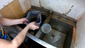 Трубочник Изя - уход за разогнанной культурой