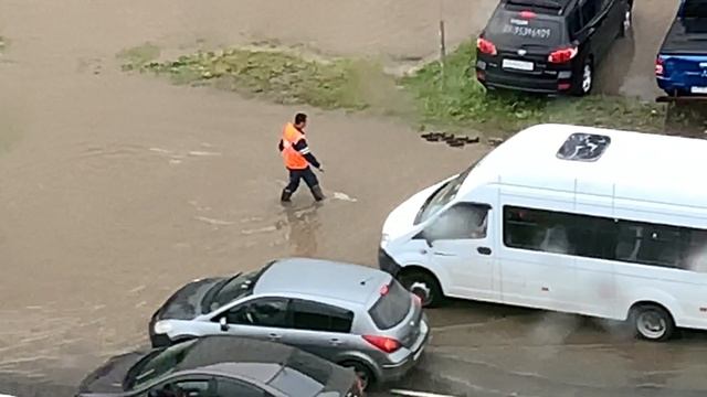 Утка с утятами переходят дорогу в городе. смотреть онлайн