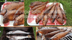 Рыба горячего копчения. Дедовский рецепт
