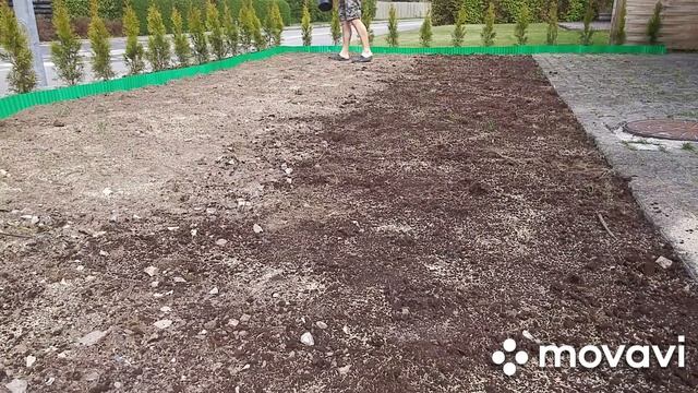 Посев газона. КРАСИВЫЙ ГАЗОН своими руками.ПОСЕВ,ПОЛИВ, УХОД. смотреть онлайн