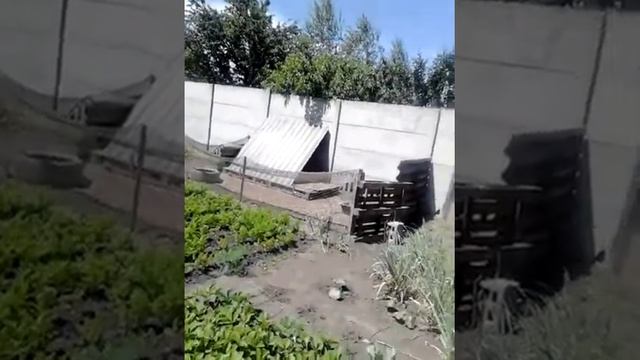 #Наш #огород. #цветы #грядка #клумба смотреть онлайн