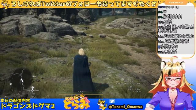 【DD2】ドラゴンズドグマ２でスズキングさんの眼鏡を探す旅＃２【ドラゴンズドグマ2】#ドラゴンズドグマ2#Vtuber#DD2 смотреть онлайн