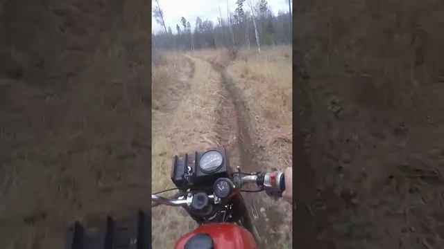 Покатушка в лес смотреть онлайн
