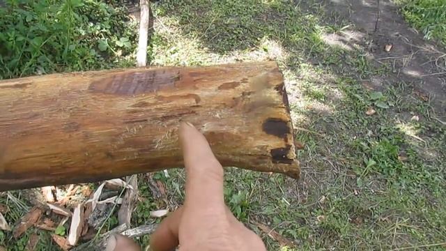 Деревянные столбы в землю, чтобы не гнили. Все тонкости.