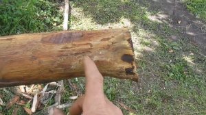 Деревянные столбы в землю, чтобы не гнили. Все тонкости.