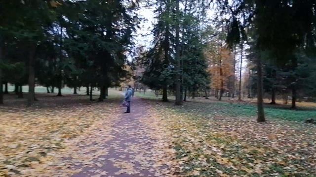 Пушкин (Царское Село). Александровский парк. 22.10.2023. смотреть онлайн