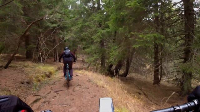 (BIKETRIP) По педалски из Витоша - "Плато", "Дивата", "Къдравата" смотреть онлайн