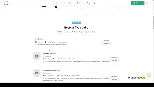 Jobica - Elementor IT Job Board WordPress Theme jobmonster candidate Website Builder смотреть онлайн