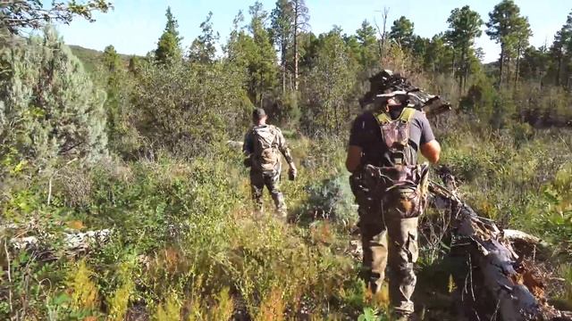 BOW HUNTING ELK in a RUT FRENZY!!! - (WE ALMOST GOT RAN OVER!) смотреть онлайн