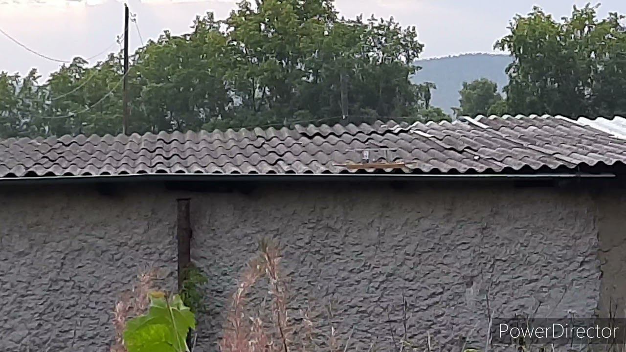 Ловля реполовов на западок 17.08.2021 год. смотреть онлайн