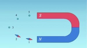 Исследование структуры магнитного поля дугообразного магнита (физика 11 класс)