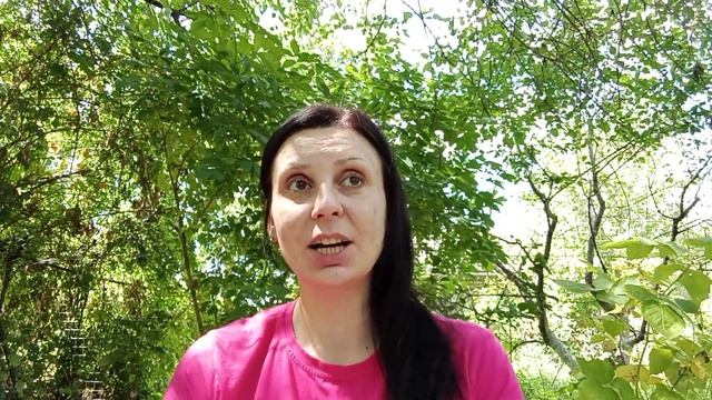 Базовые практики (медитация - энергизация). смотреть онлайн