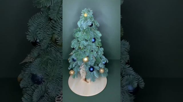 Ёлочка и венок из нобилиса🎄😍 #вологда #вкуснотутвологда смотреть онлайн