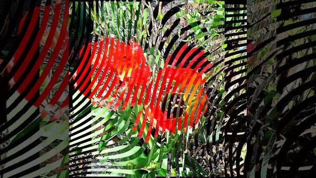 Прекрасные цветы, весна и природа.mp4 смотреть онлайн