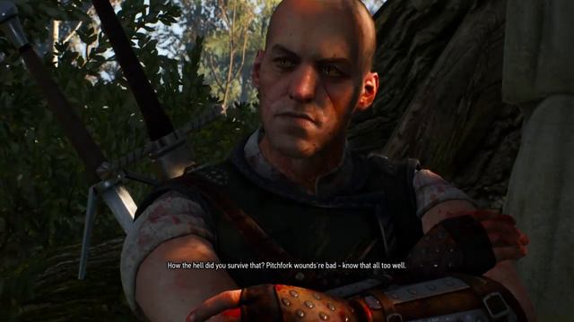 Witcher 3 - Don't kill witcher Gaetan (Where the cat and wolf play) | Wild Hunt смотреть онлайн