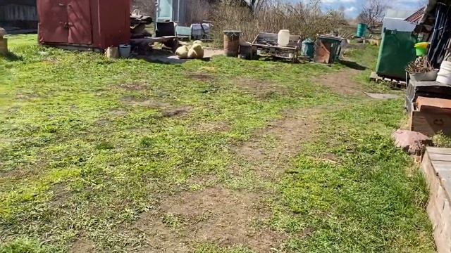 Сосед Иваныч ! Едем в гости смотреть онлайн