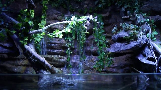 Анталийский океанариум. Antalya Aquarium смотреть онлайн