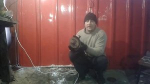 Осторожно, болгарка: техника безопасности при работе с УШМ