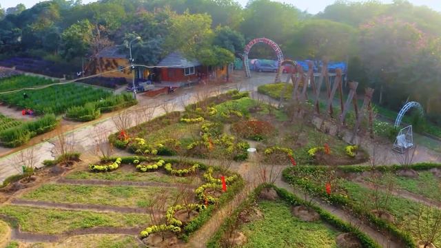 Can't Help Falling In Love Saxophone Mp3 Download 🎷Swing saxophone music 781 смотреть онлайн