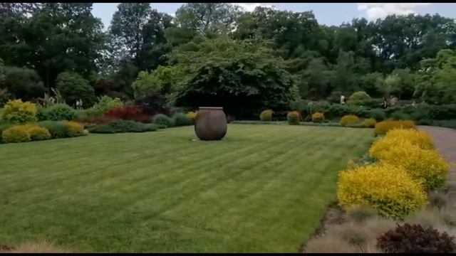 Экзотические растения,прогулка в замечательном парке. смотреть онлайн