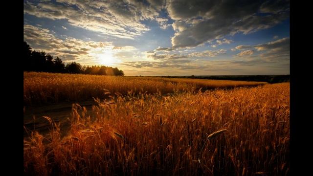 Матушка земля Русь смотреть онлайн