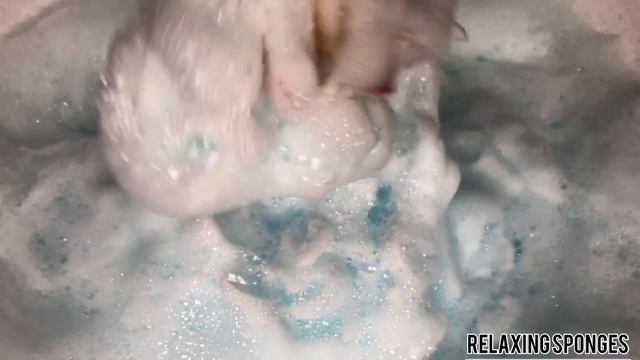 ASMR/Mr.Proper/squeezing Sponges/rinsing Sponges/АСМР губки #spongesqueezing #spongesqueeze