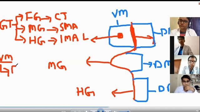 Embryological development of GIT and its mesenteries смотреть онлайн