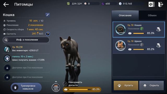 Black Desert Mobile 🔥 Как фармить в АФК режиме 🔥 смотреть онлайн