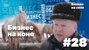 Бизнес на селе #28 | Как фермер с 8 классами образования разбогател на лошадях