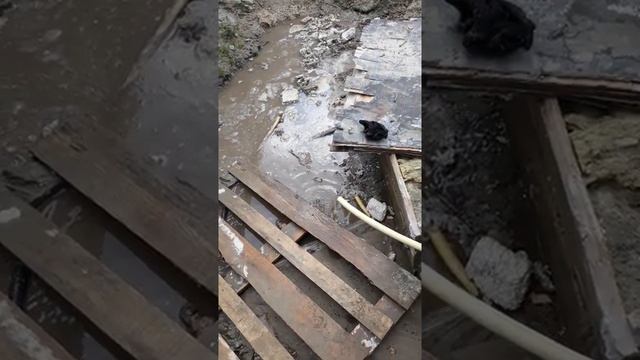 GECO Жидкие перчатки, видео отзыв