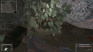 ОП 2.1 раритетное оружие Разыскать схрон с оружием в забытом лесу