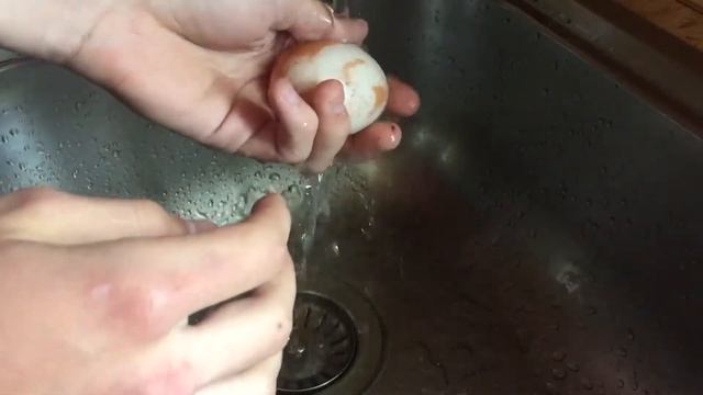 ЧТО БУДЕТ, ЕСЛИ ОПУСТИТЬ ЯЙЦО В УКСУС НА 24 ЧАСА? || ПРОЗРАЧНОЕ ЯЙЦО || ЯЙЦО И УКСУС 24 ЧАСА смотреть онлайн