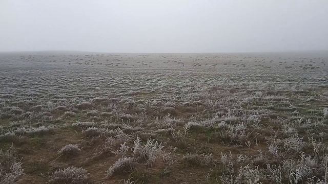 Овцы в тумане, содержание овец, жизнь на ферме ... смотреть онлайн