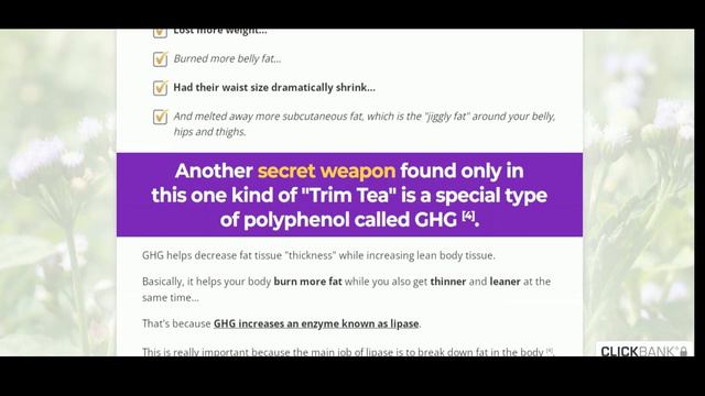 PT Trim Fat Burn - ⚠️BEWARE⚠️ - PT Trim Fat Burn Review - PT Trim really works? смотреть онлайн