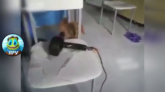 ПРИКОЛЫ 2018. СТРАШНЫЙ СОН И ТОП ПРИКОЛЫ ЗА ЛЕТО 2018, СЕНТЯБРЬ №67 / RFV