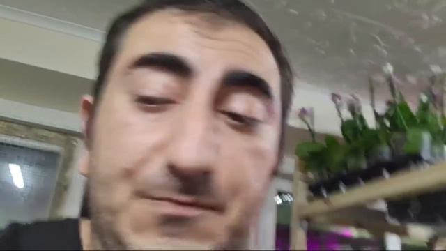 ОрхоЛотерея2 смотреть онлайн