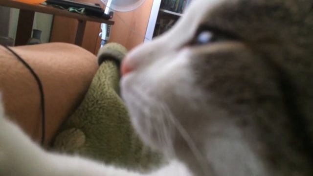 Мурканье смотреть онлайн