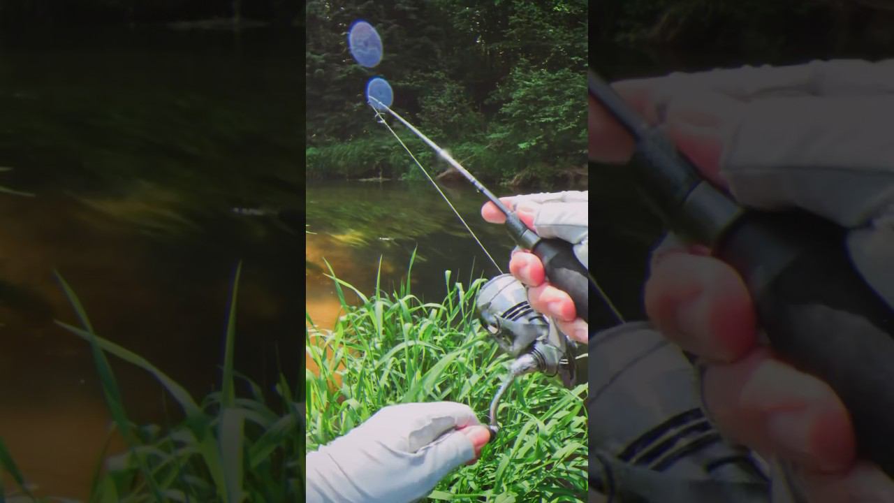 #голавль #рыбалка #спиннинг смотреть онлайн