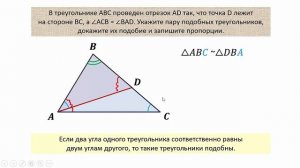 Подобие треугольников. Пропорции