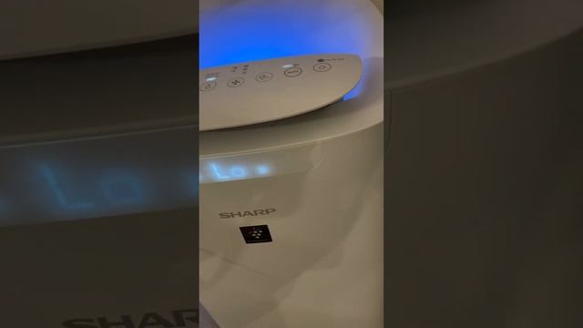 Głośniejszy niż zwykle dźwięk nawilżacza w oczyszczaczu Sharp UA-KIL80E-W смотреть онлайн