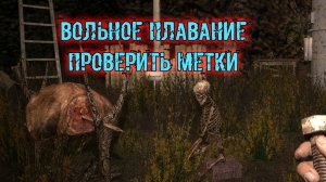 сталкер ВВЗ Воспоминание вольное плавание проверить метки взять с собой напарника вернуть Вещи