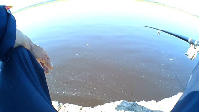 Как НАЛОВИТЬ РЫБЫ в жару на удочку! Три ПРОСТЫХ совета для рыбалки смотреть онлайн