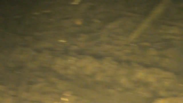 Подводная Охота на озере у дяди Саши.Шкиль Игорь смотреть онлайн