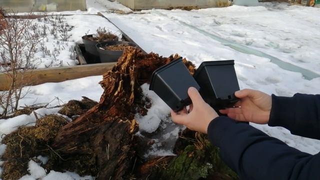 Чем отличаются Польские горшки от Российских? смотреть онлайн