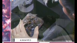 Бессмертие Необъяснимо но Факт  Сергей Дружко  Мистика  Паранормальное Эзотерика